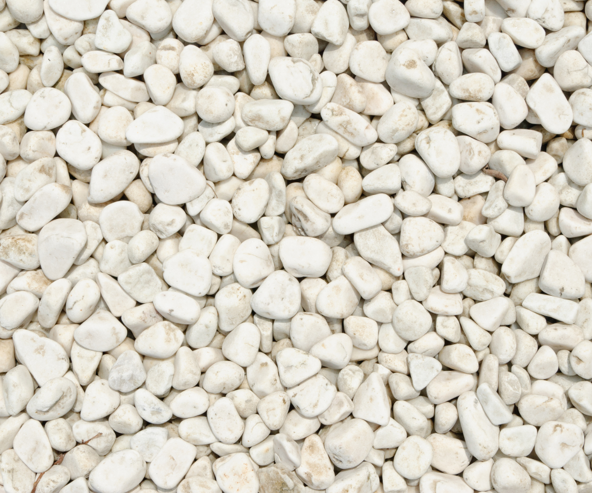 Professional Background for wall