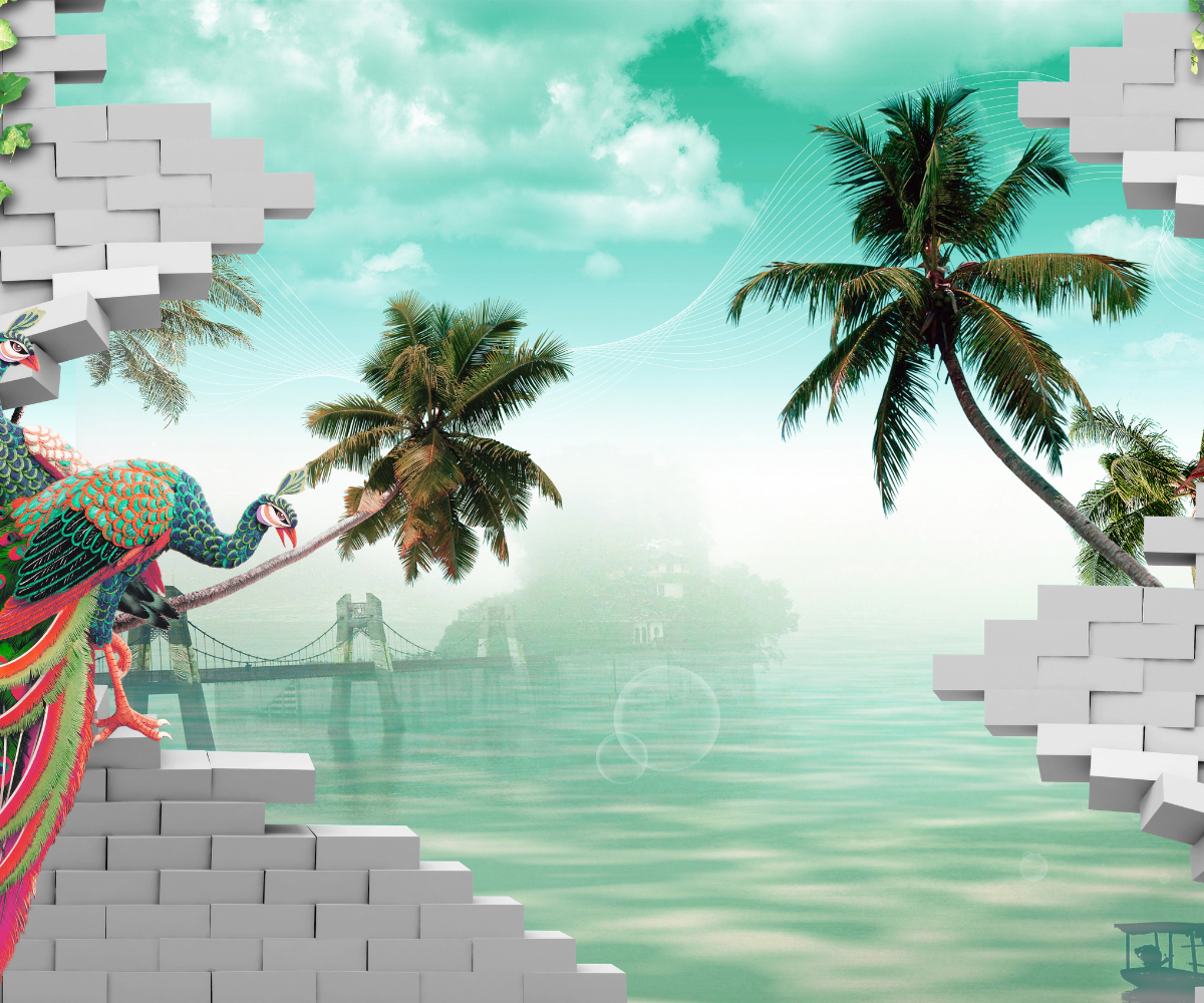 Professional Background