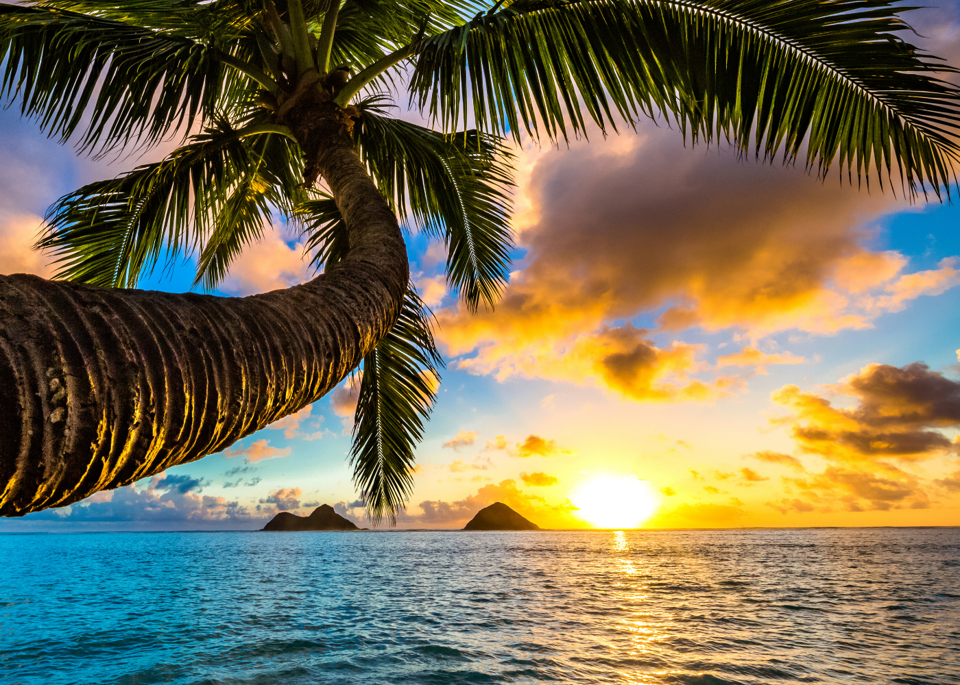 background-30