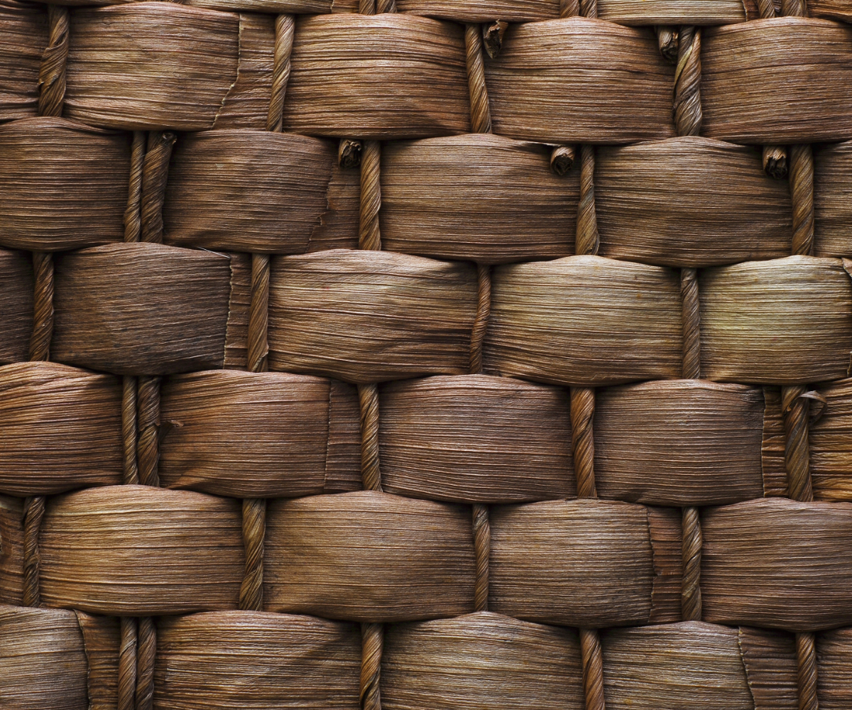 Professional Background