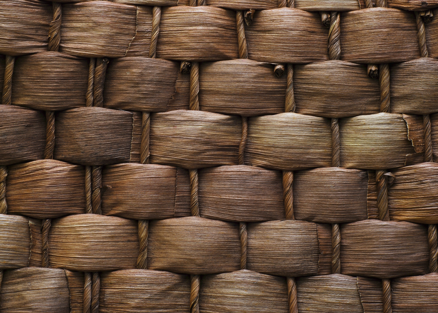 background-11