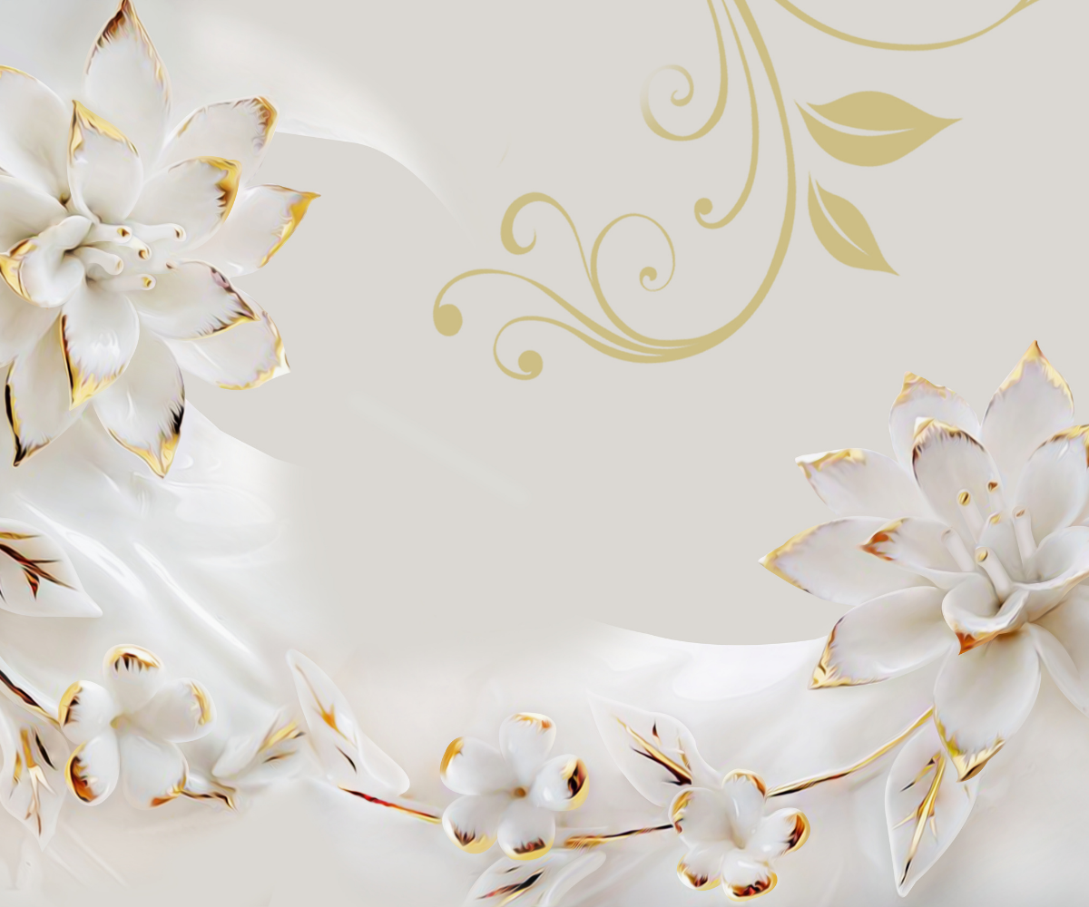 Professional Background for Wall - Studio Photography & Video Backdrop