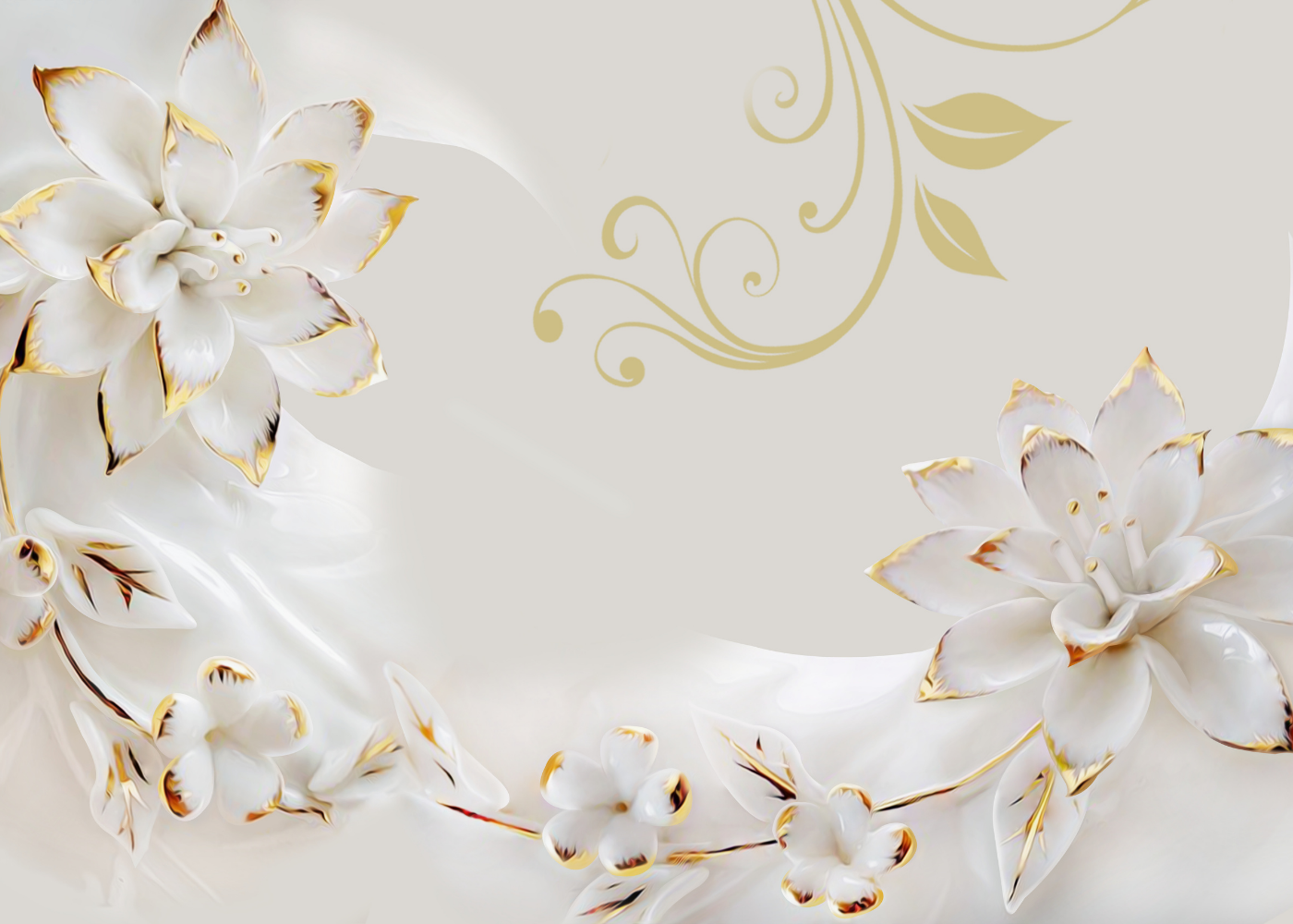 Professional Background for Wall - Studio Photography & Video Backdrop
