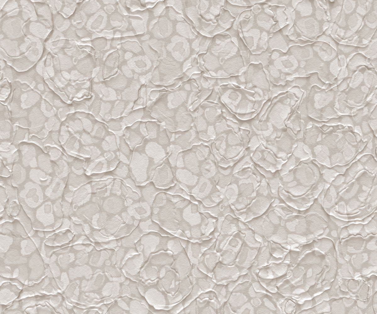 Professional Background