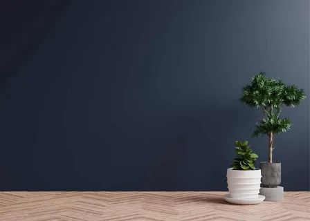 Professional Background for wall
